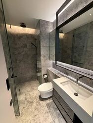 Cuscaden Reserve (D10), Condominium #560549681